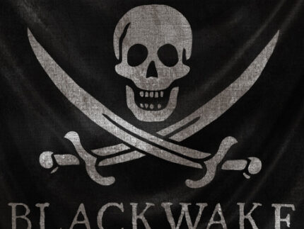 Blackwake Steam (Descarga digital)